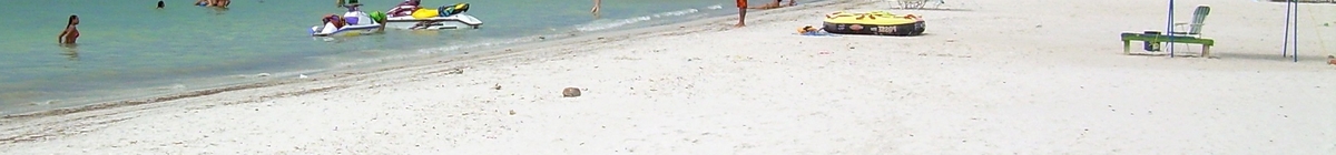 Panorama image of a typical Venezuelian beach