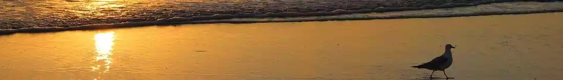 Panorama image of Jacksonville shore in USA