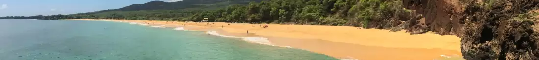 Panorama image of Hawaii beach