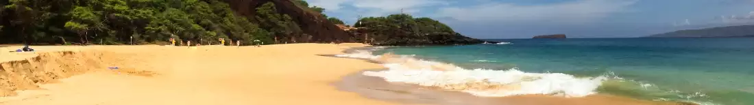 Panorama image of beach in Maui in Hawaii