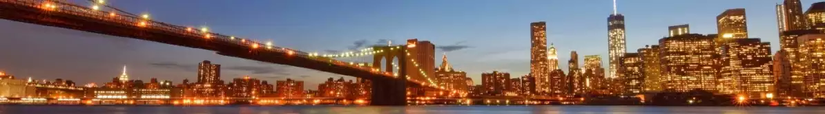 Panoramic view of Brooklyn